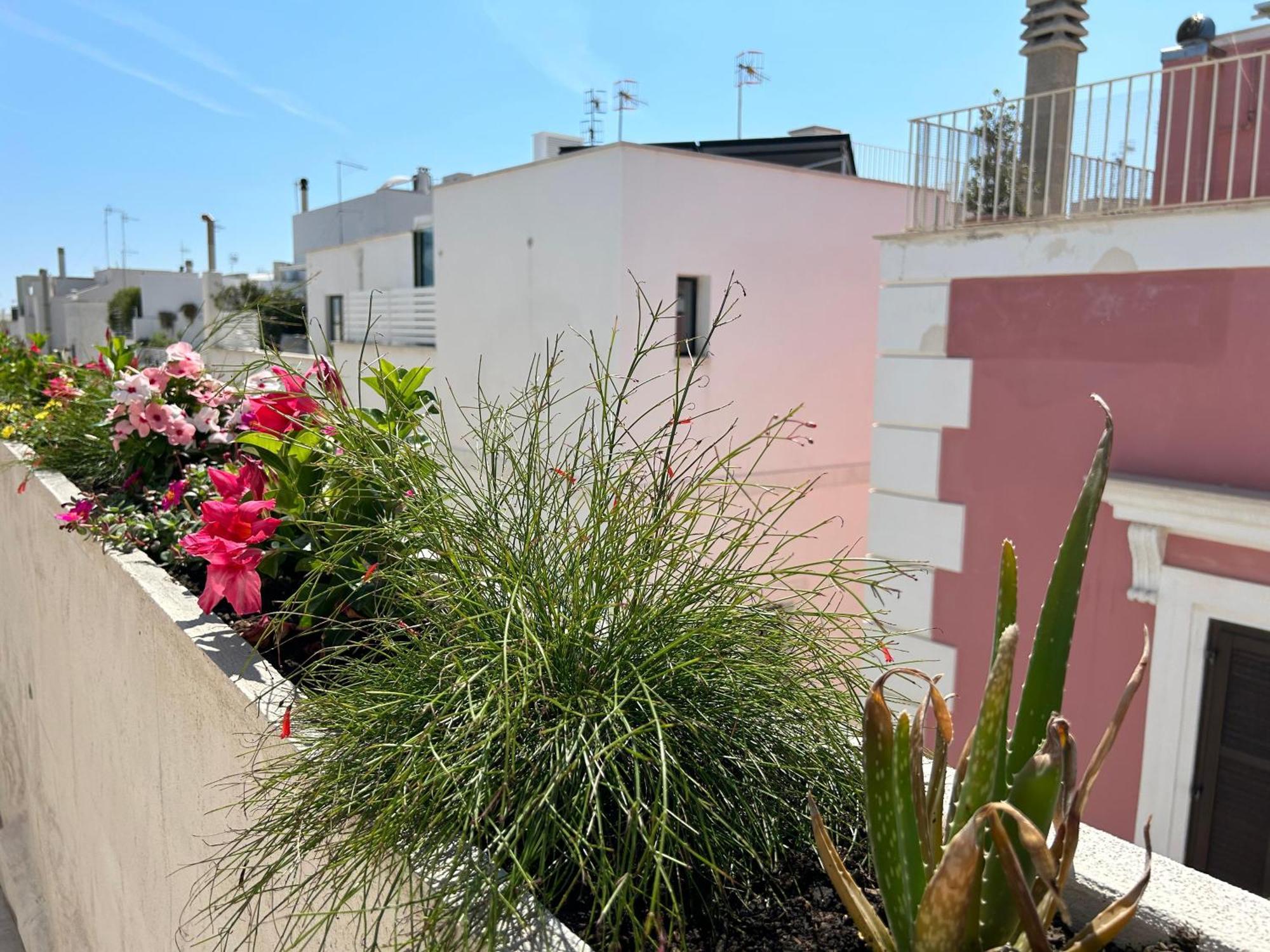 Bed and Breakfast Trame Dimora Rachele Polignano a Mare Exterior foto