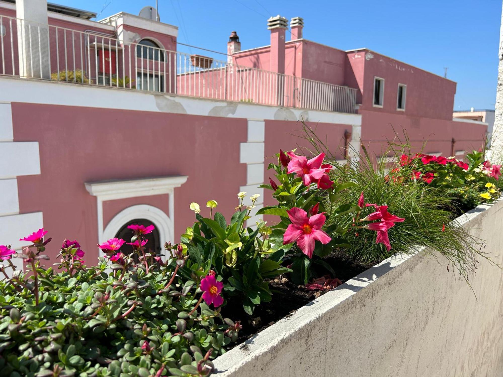 Bed and Breakfast Trame Dimora Rachele Polignano a Mare Exterior foto